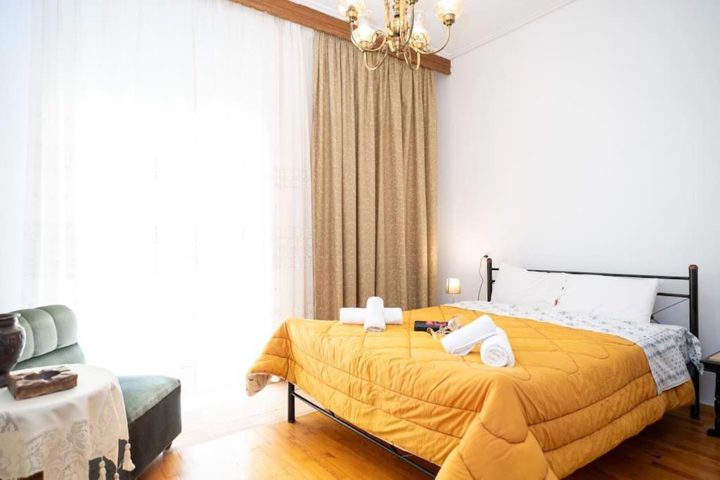 Theoni Central Apartment Kalampáka Buitenkant foto